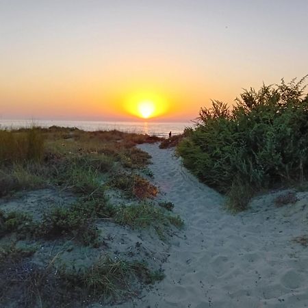 Apartamento Accesso Diretto Sul Mare Maredilucecala Calambrone Exterior foto
