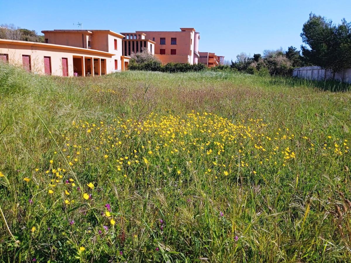 Apartamento Accesso Diretto Sul Mare Maredilucecala Calambrone Exterior foto