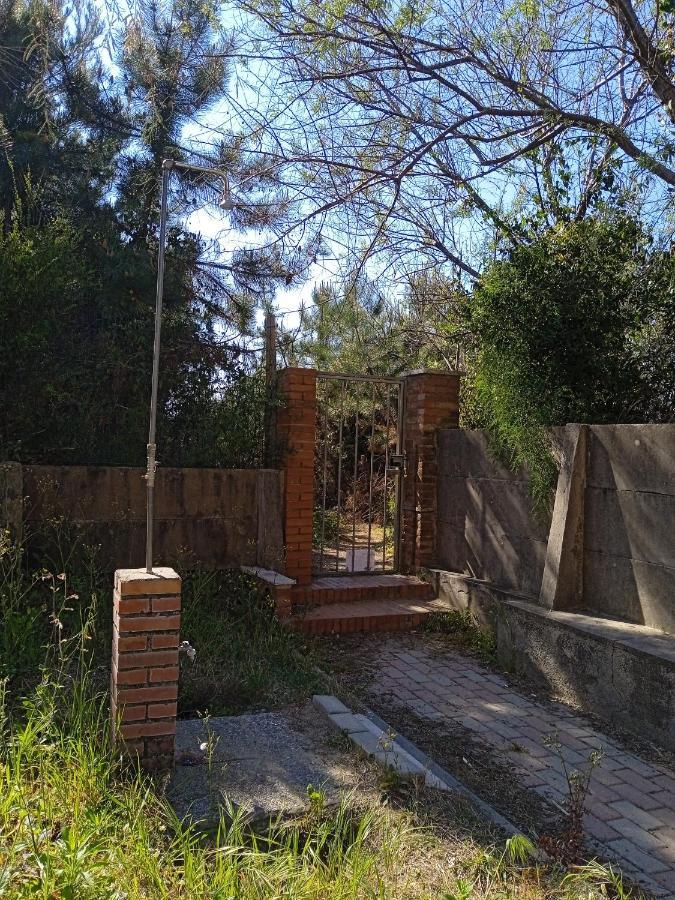 Apartamento Accesso Diretto Sul Mare Maredilucecala Calambrone Exterior foto